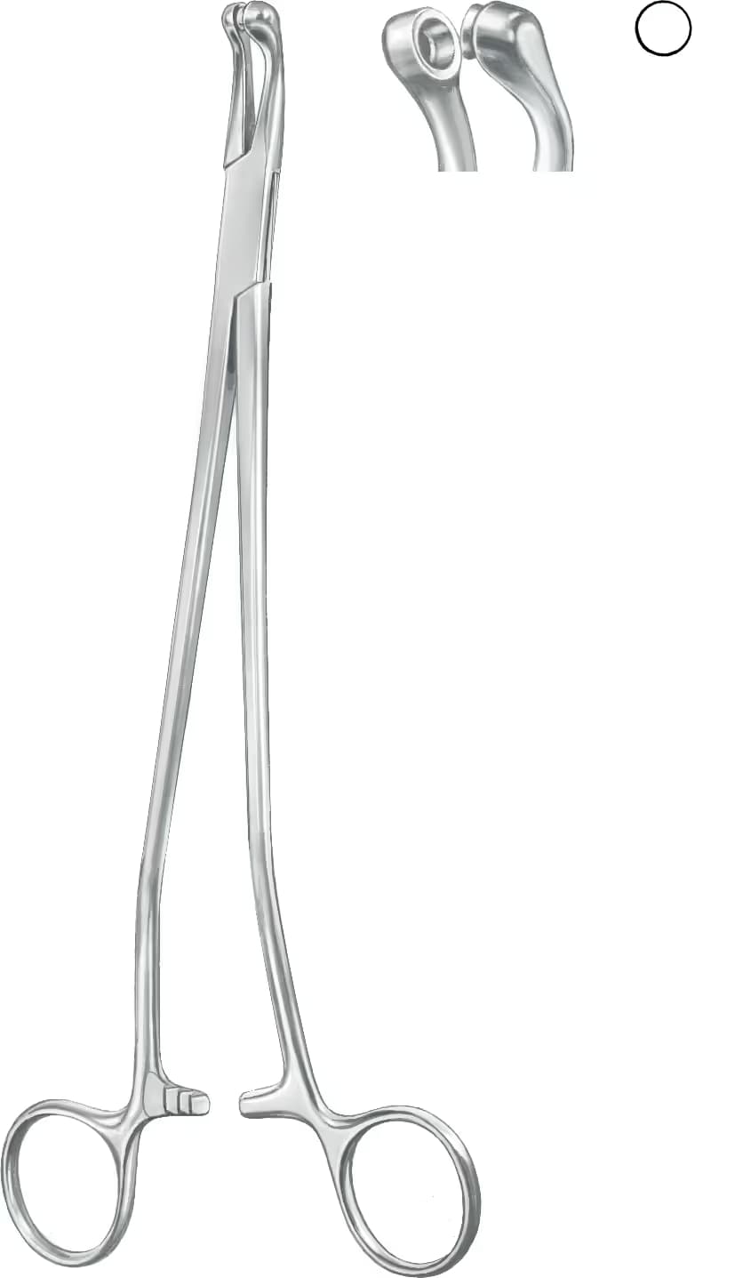 THOMSGAYLOR BIOPSI FORCEPS 24cm