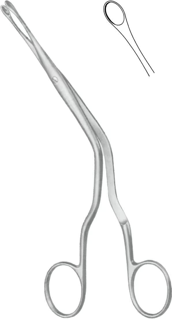 SEPTUM FORSEPS LUC 20cm F.1