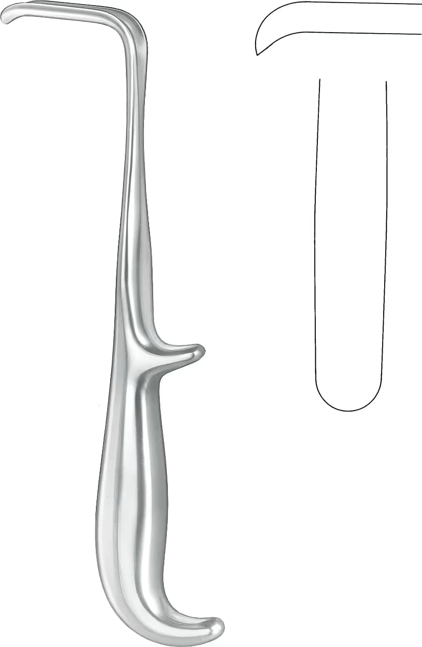 EKARTÖR YOUNG 21CM