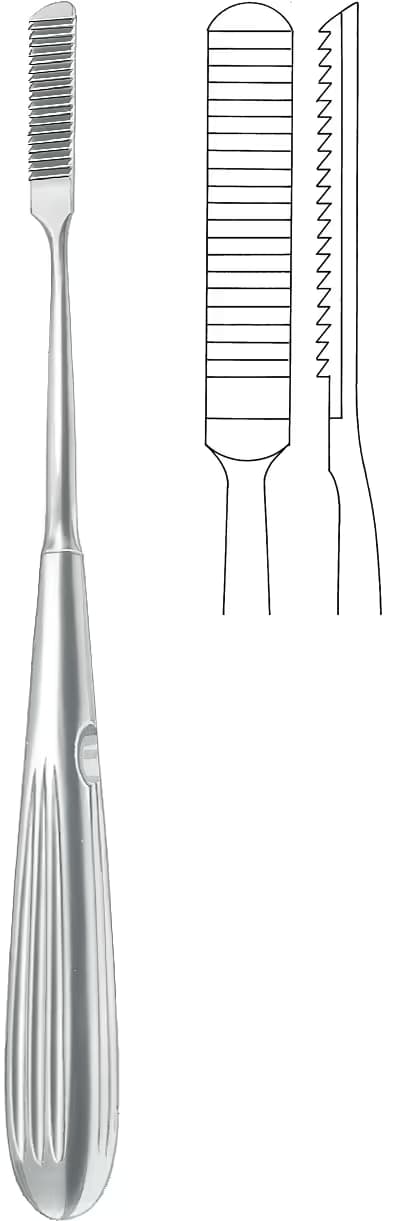 Kemik törpüsü 20,5cm
