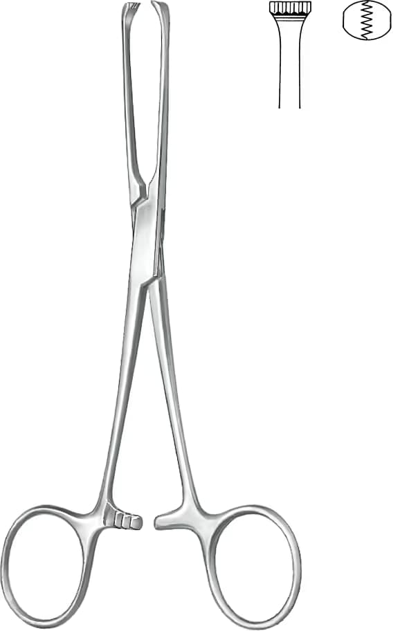 KLEMP ALLIS 19CM 5X6 DİŞLİ