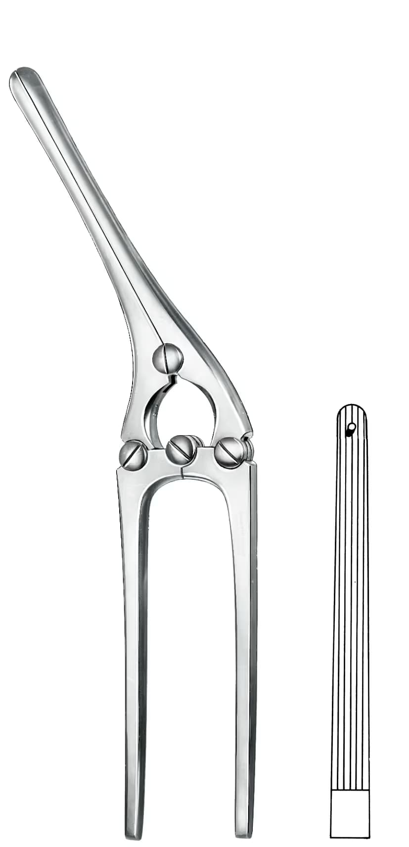 BARSAK KLEMPİ PAYR 20CM