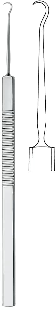 CİLT HUKU RASSE 16CM