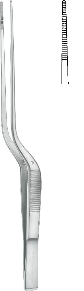 PENSET TAYLOR BAYONET 17,5CM DISSIZ