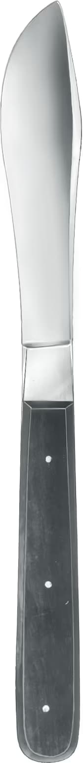 CERRAHİ BICAK 25CM HP SAP