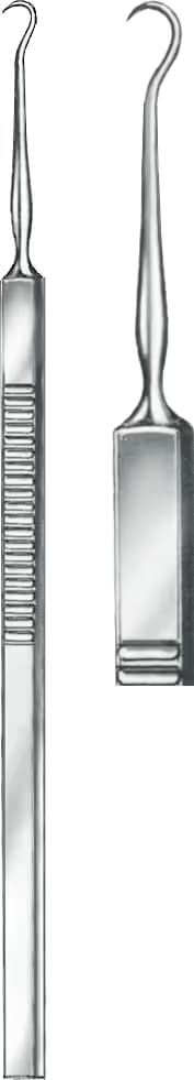 CİLT HUKU 16CM F2