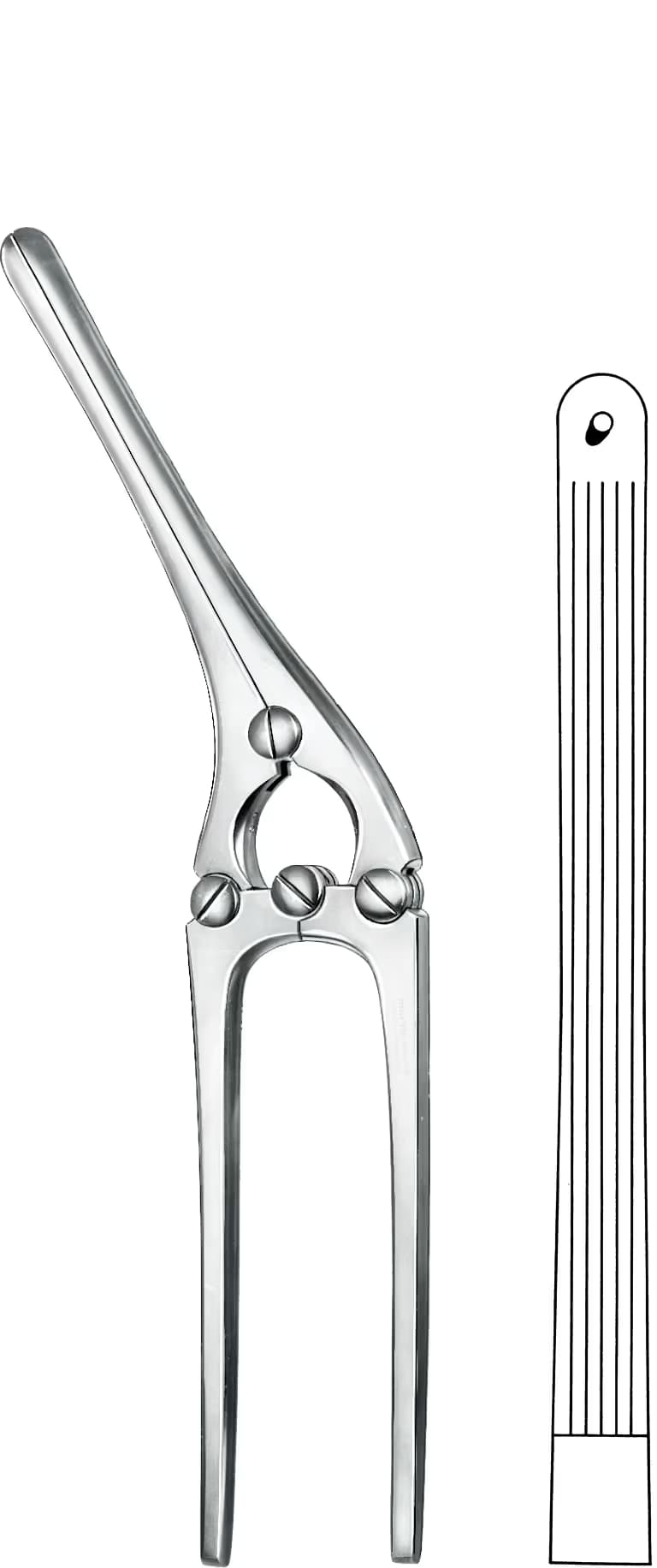 BARSAK KLEMPİ PAYR 27,5CM