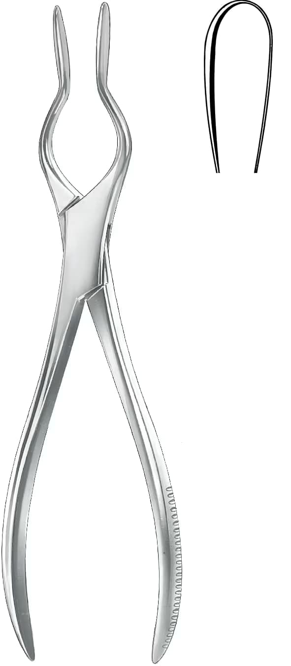 SEPTUM PENSI COTTLE WALSHAM SOL 23cm