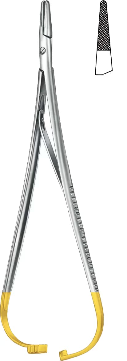 TC Avuç içi Portegü Lichtenberg 19,5cm