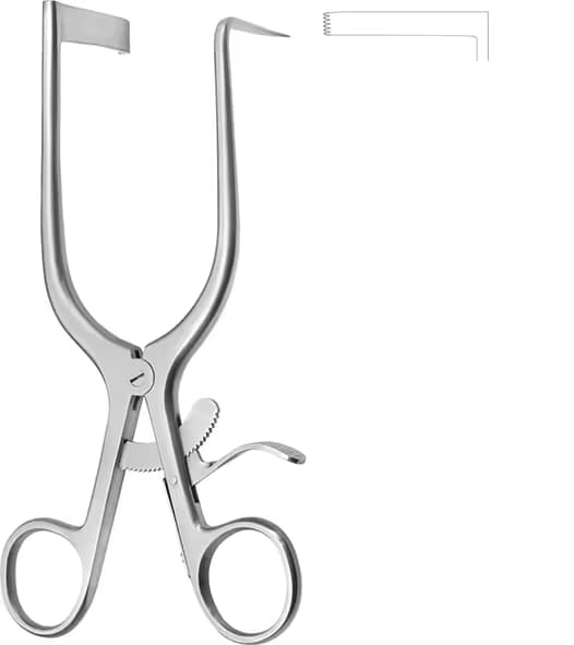 OTOMATIK EKARTOR MEYERDING 18CM SOL BLEYT