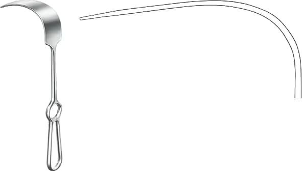 EKARTOR MIKULICZ 25CM 155X50MM