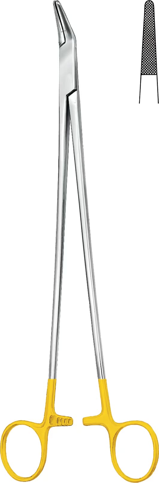 HM PORTEGÜ FINOCHIETTO 26,5CM