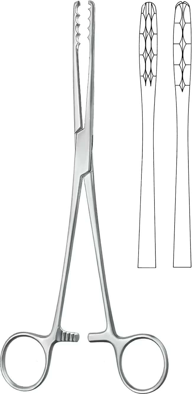 SPANÇ VE TEMİZLİK KLEMPİ ULRICH 22CM