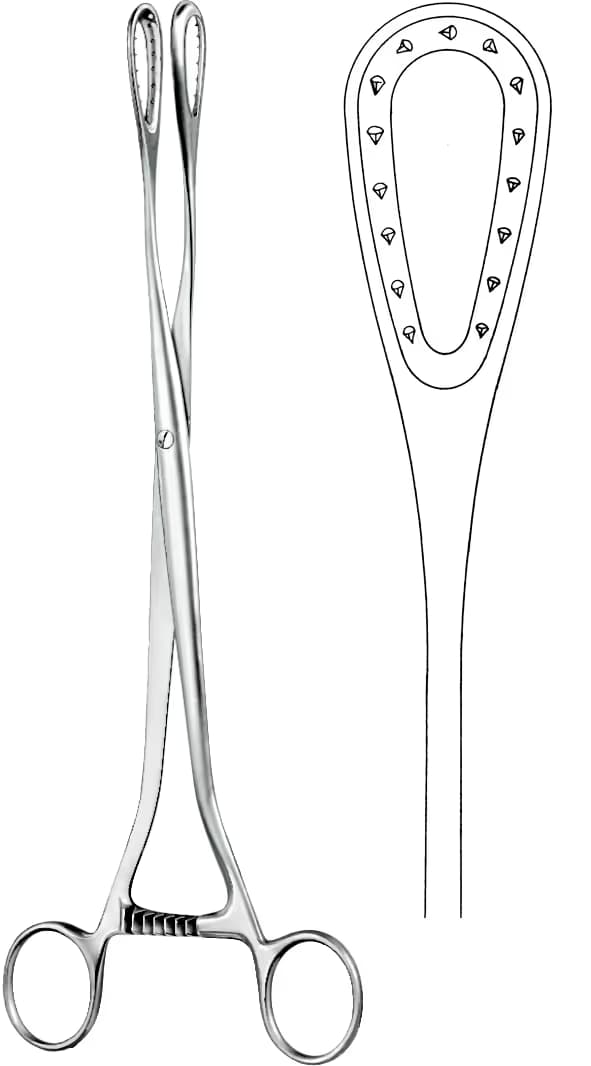 PLASENTA OVUM KLEMP SAENGER 27,5CM DÜZ
