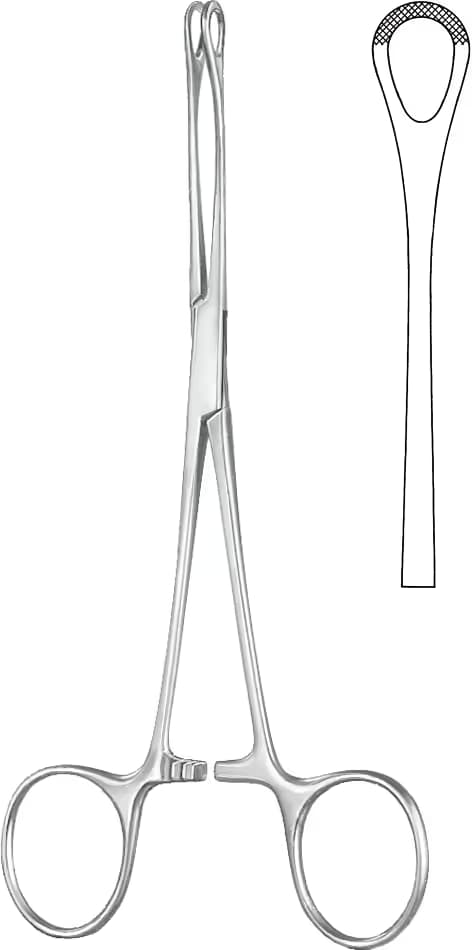 SPANÇ VE TEMİZLİK KLEMPİ WILLIAMS 16CM