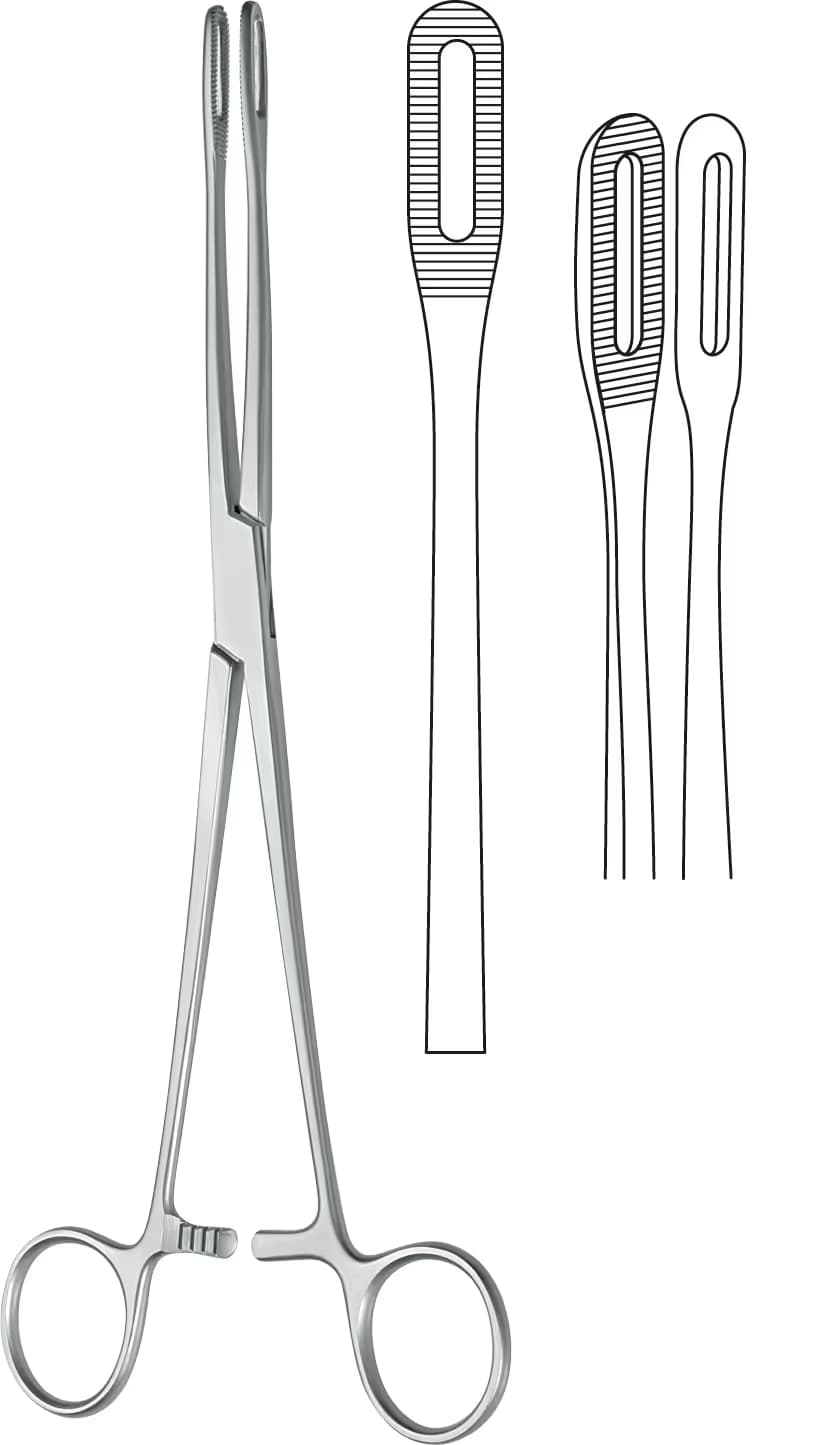 SPANÇ VE TEMİZLİK KLEMPİ FÖRSTER 25CM DÜZ