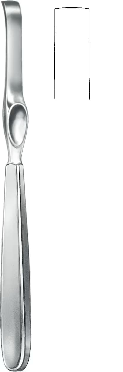 LAMBOTTE RASPARATOR 21,5cm 10mm