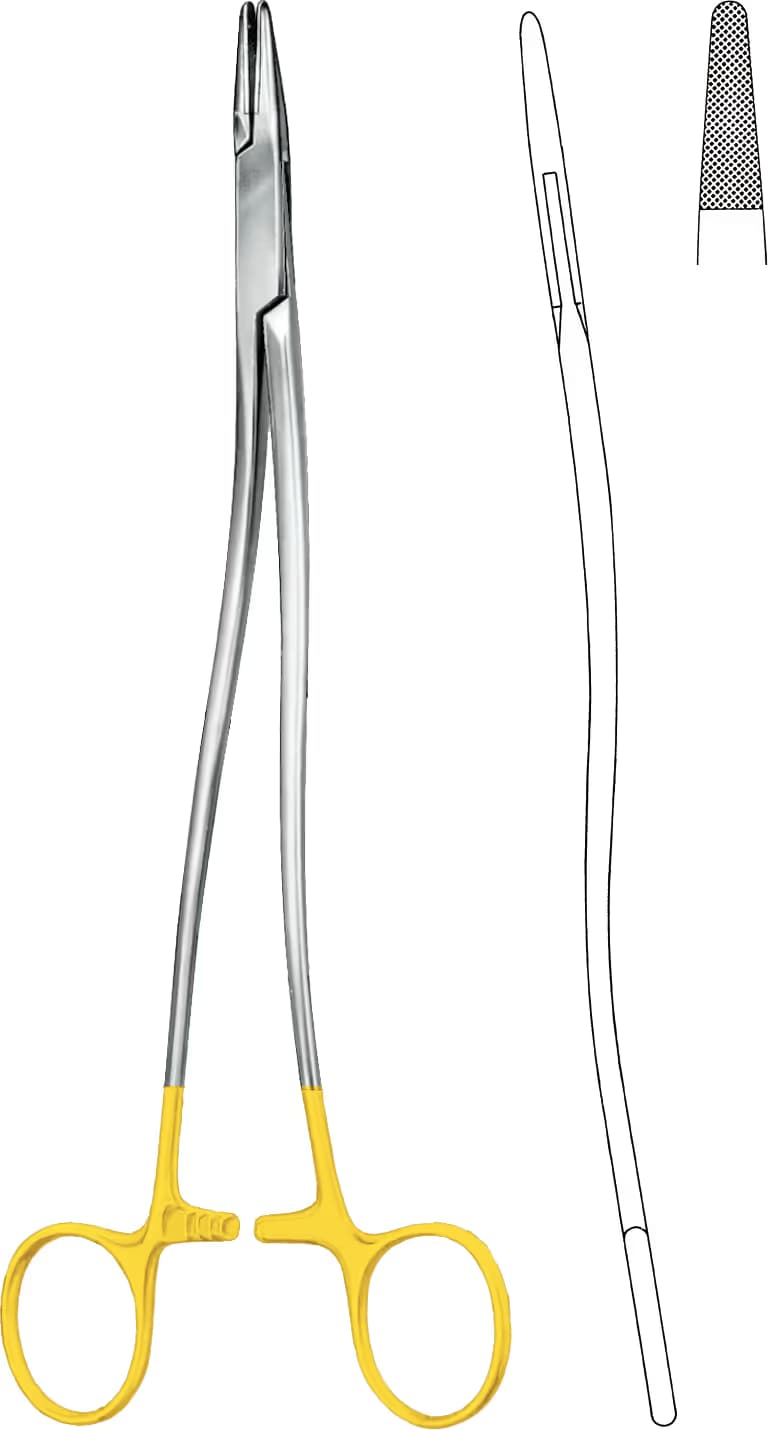 HM PORTEGÜ BOZEMANN 26CM