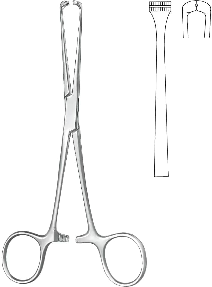 TENDON TUTUCU Steinmann 16cm