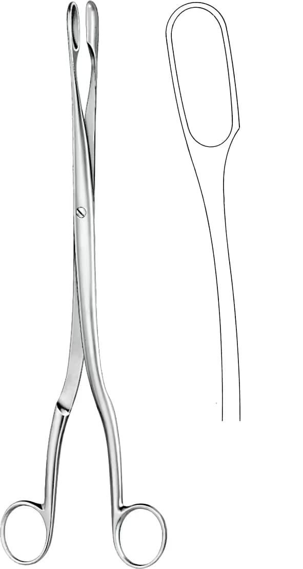 PLASENTA OVUM KLEMP WINTER 29CM EĞRİ F.1