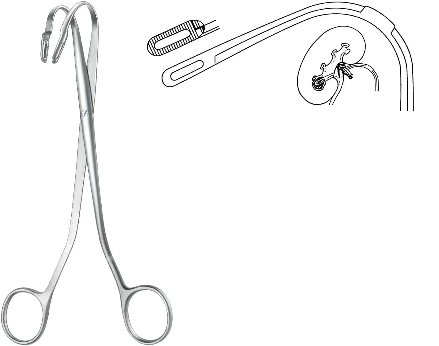 TAŞ KLEMPİ RANDALL 19CM F.1