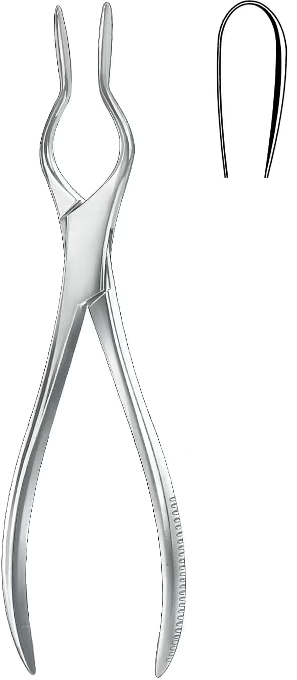 SEPTUM PENSI COTTLE WALSHAM SAG 23cm