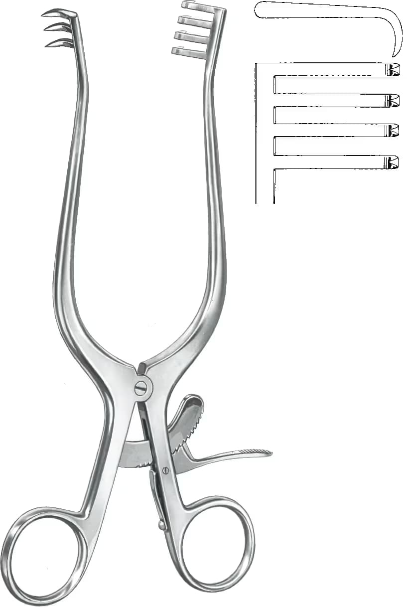 OTOMATIK EKARTOR WEITLANER 3X4 YARI SIVRI 24CM