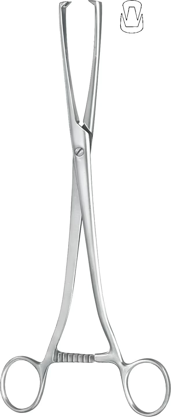 TENEKULUM KLEMP MUSEUX 24CM 2DİŞLİ F.1