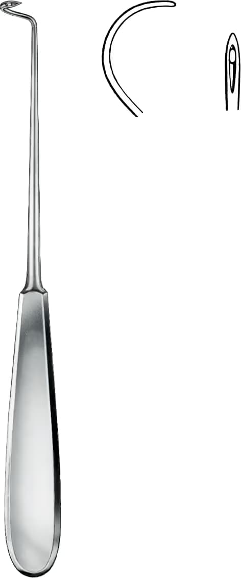 STUR ALETİ DESCHAMPS SİVRİ 21,5CM SAĞ