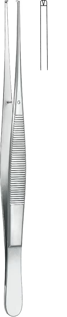 PENSET WAUGH DİŞLİ 25cm