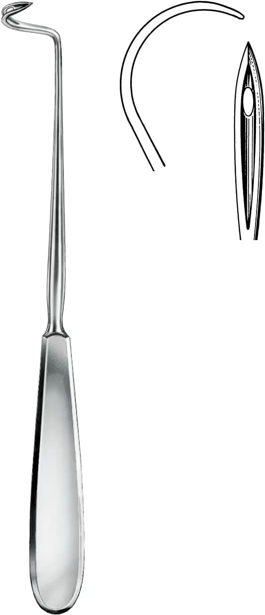 STUR ALETİ DESCHAMPS SİVRİ 20CM SAĞ