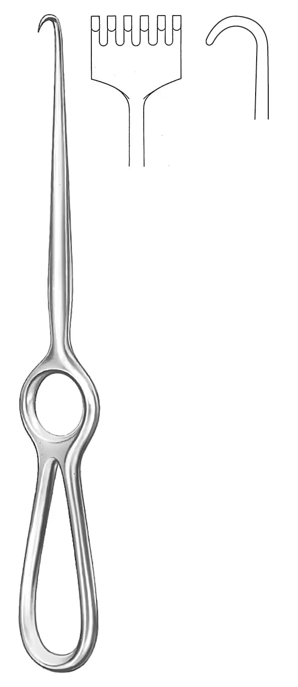 EKARTOR VOLKMANN 21,5CM KUNT 6DISLI