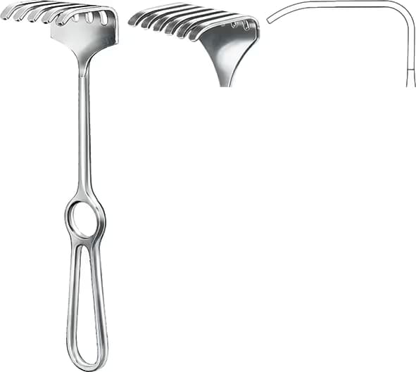 EKARTOR ISRAEL 25CM 6DISLI 50X60MM