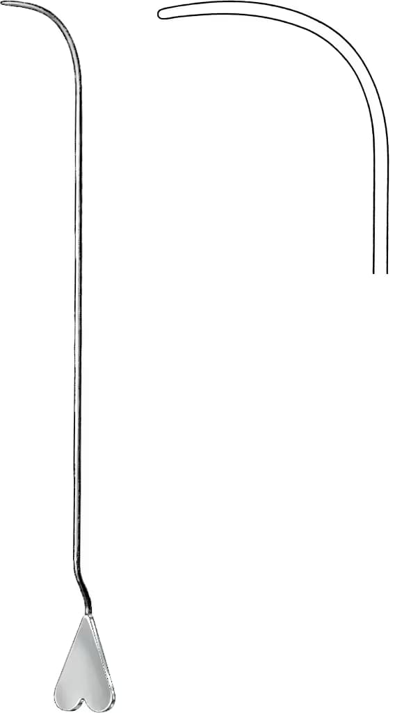 FISTUL PROP LOCKHART MUMMERY FIG.3