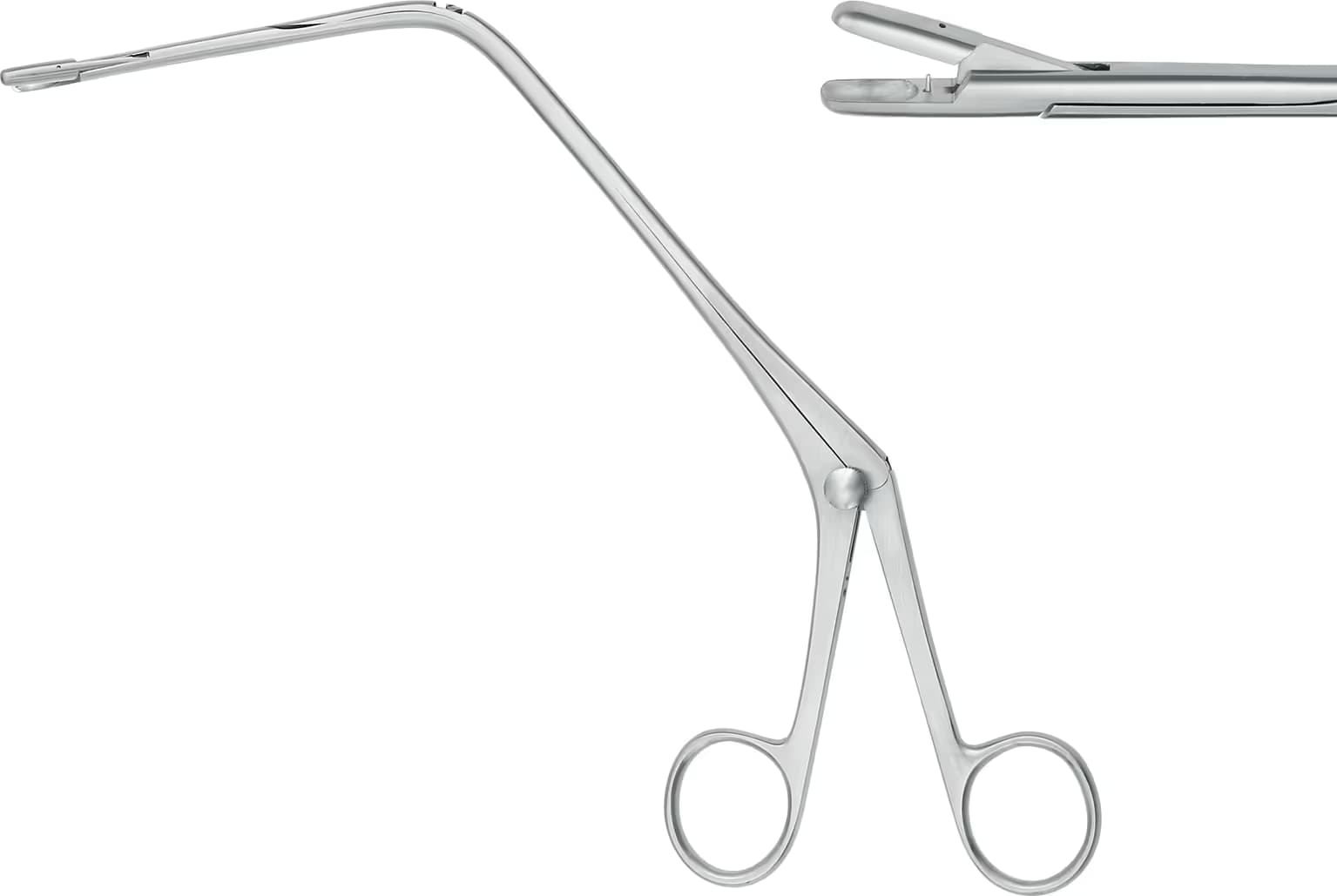 LARENGEL POLIP PENSI JURASZ 22cm SAG