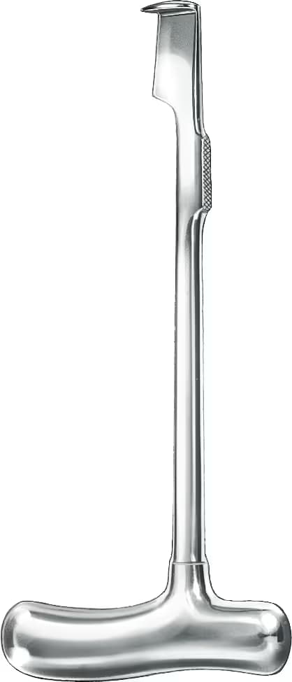 LEBSCHE STERNIUM KESKİ 24,5cm