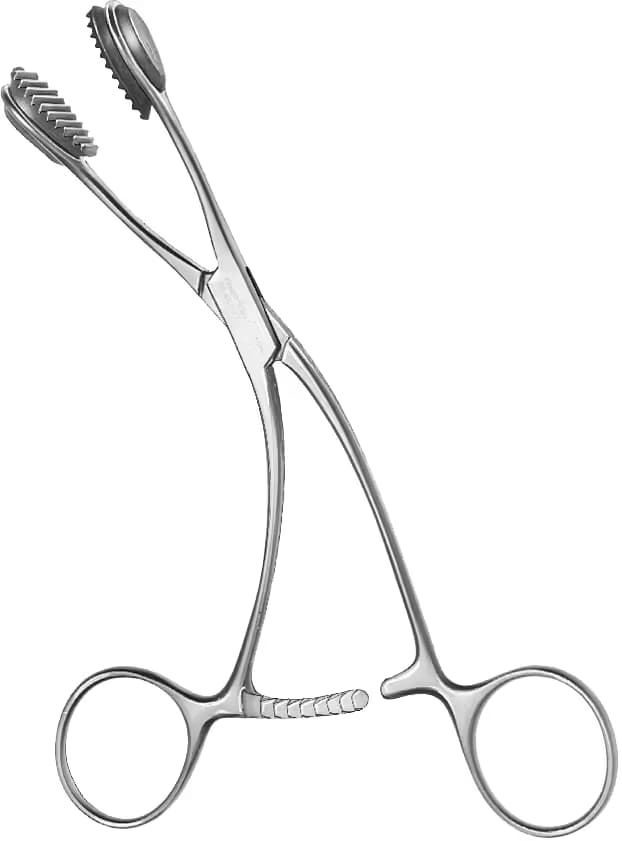 DİL ÇEKME PENSİ YOUNG 17cm
