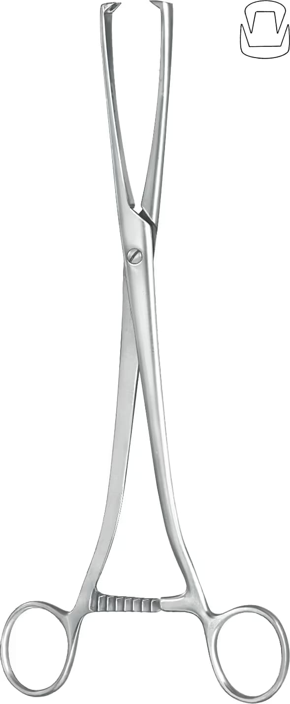 TENEKULUM KLEMP MUSEUX 24CM 2DİŞLİ F.2
