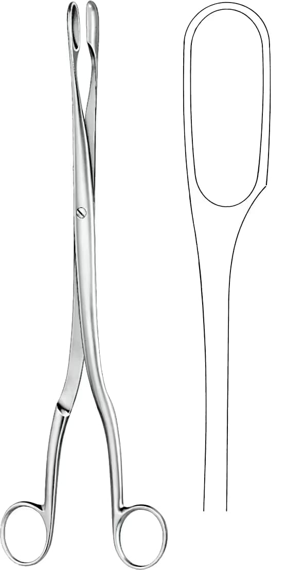 PLASENTA OVUM KLEMP WINTER 29CM DÜZ F.2