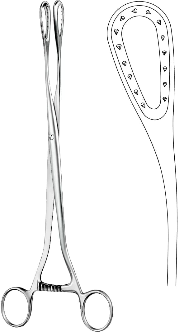 PLASENTA OVUM KLEMP SAENGER 26,5CM EĞRİ