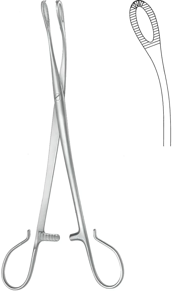 BLOHMKE TONSIL FORSEPS 20,5CM