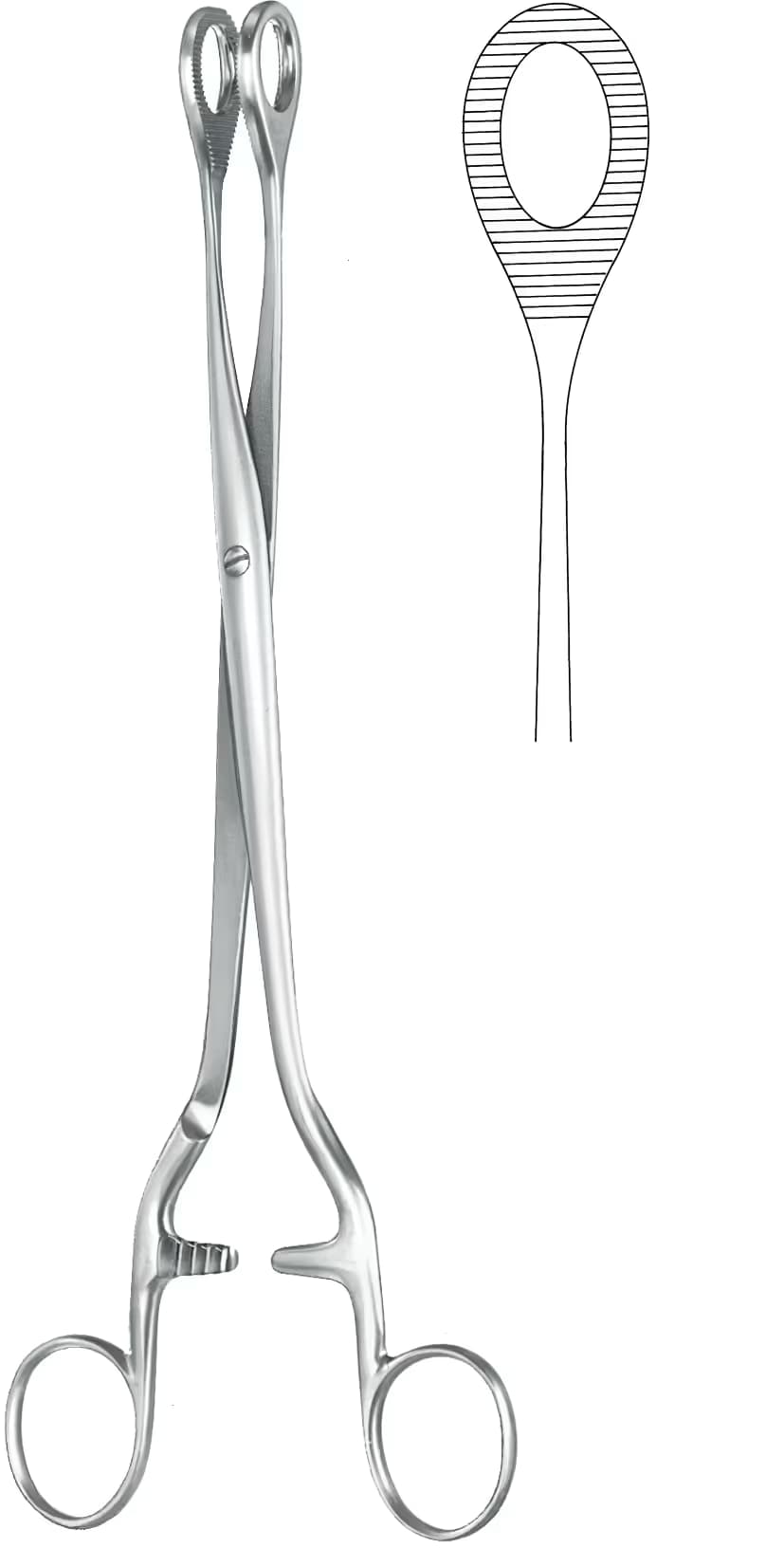 SPANÇ VE TEMİZLİK KLEMPİ NOTO 28CM