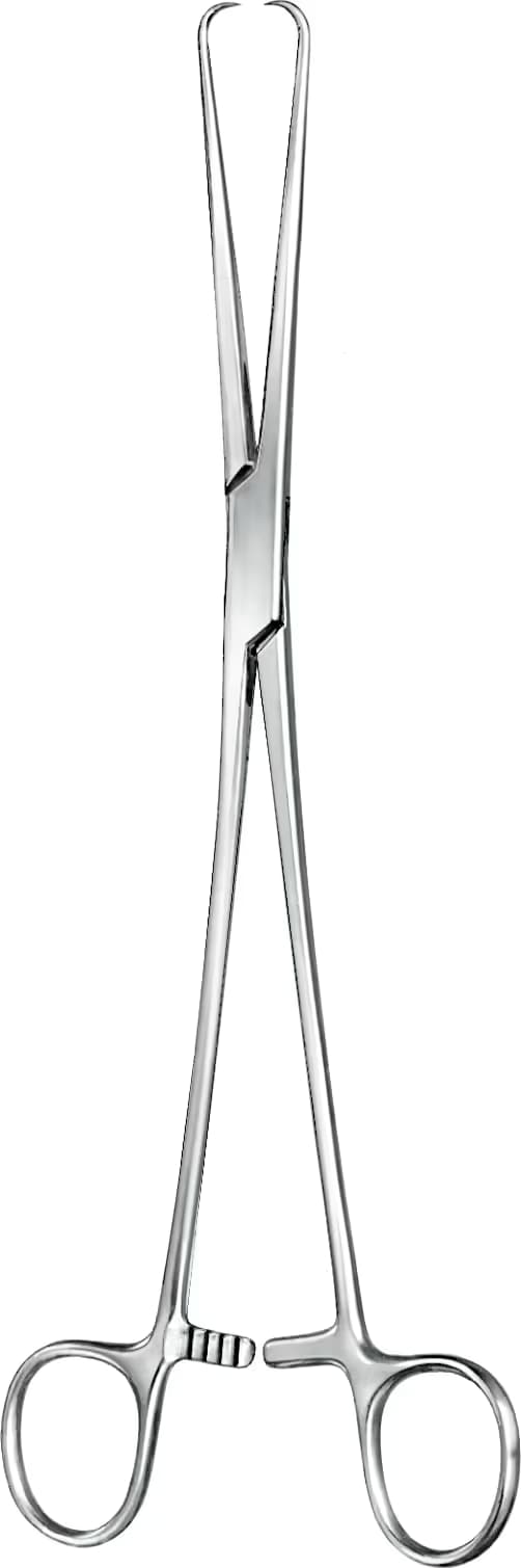TENEKULUM SCHRODER 25CM