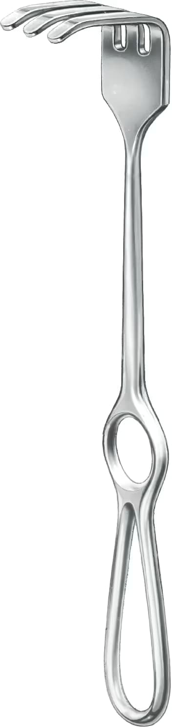 EKARTOR OLLIER 24,5CM 3DISLI 37X30MM