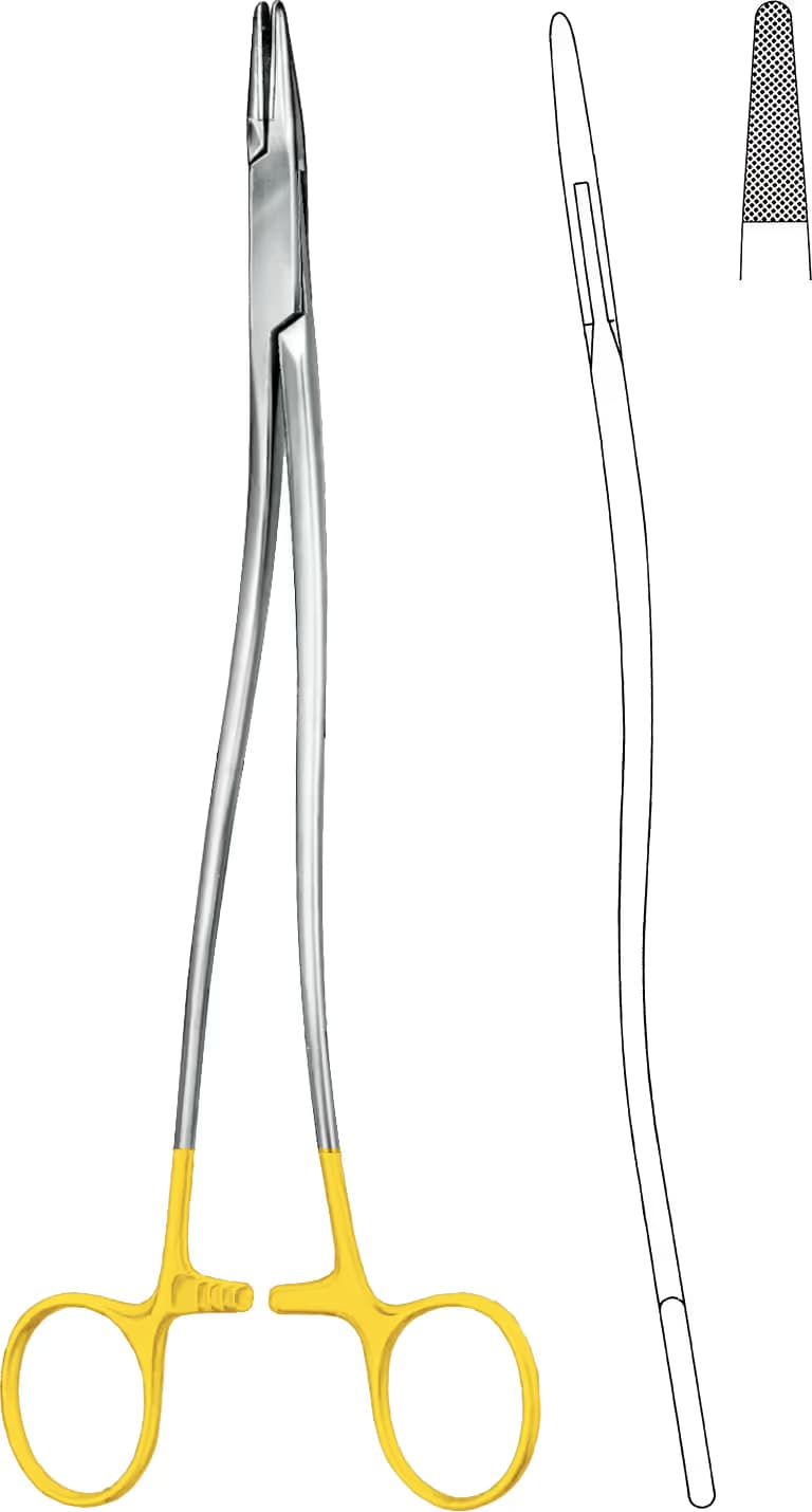 HM PORTEGÜ BOZEMANN 24CM