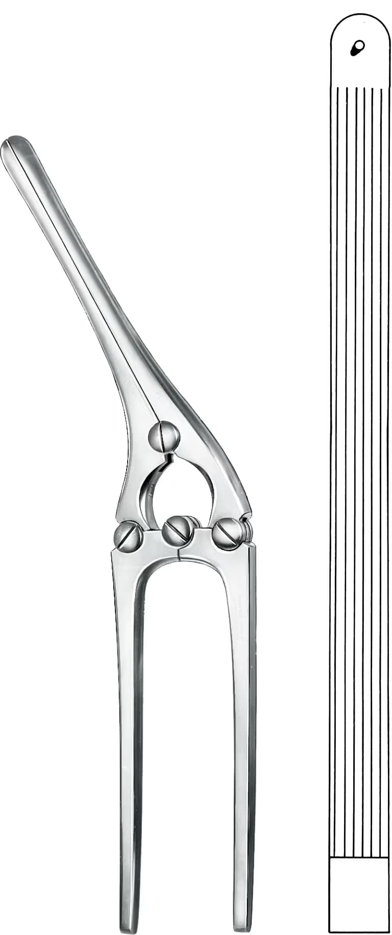 BARSAK KLEMPİ PAYR 31,5CM