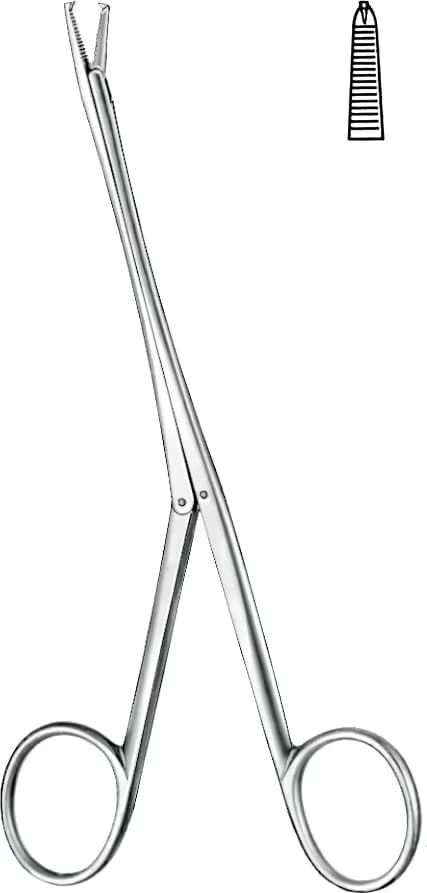 TENDON TUTUCU BRAND 15CM DÜZ